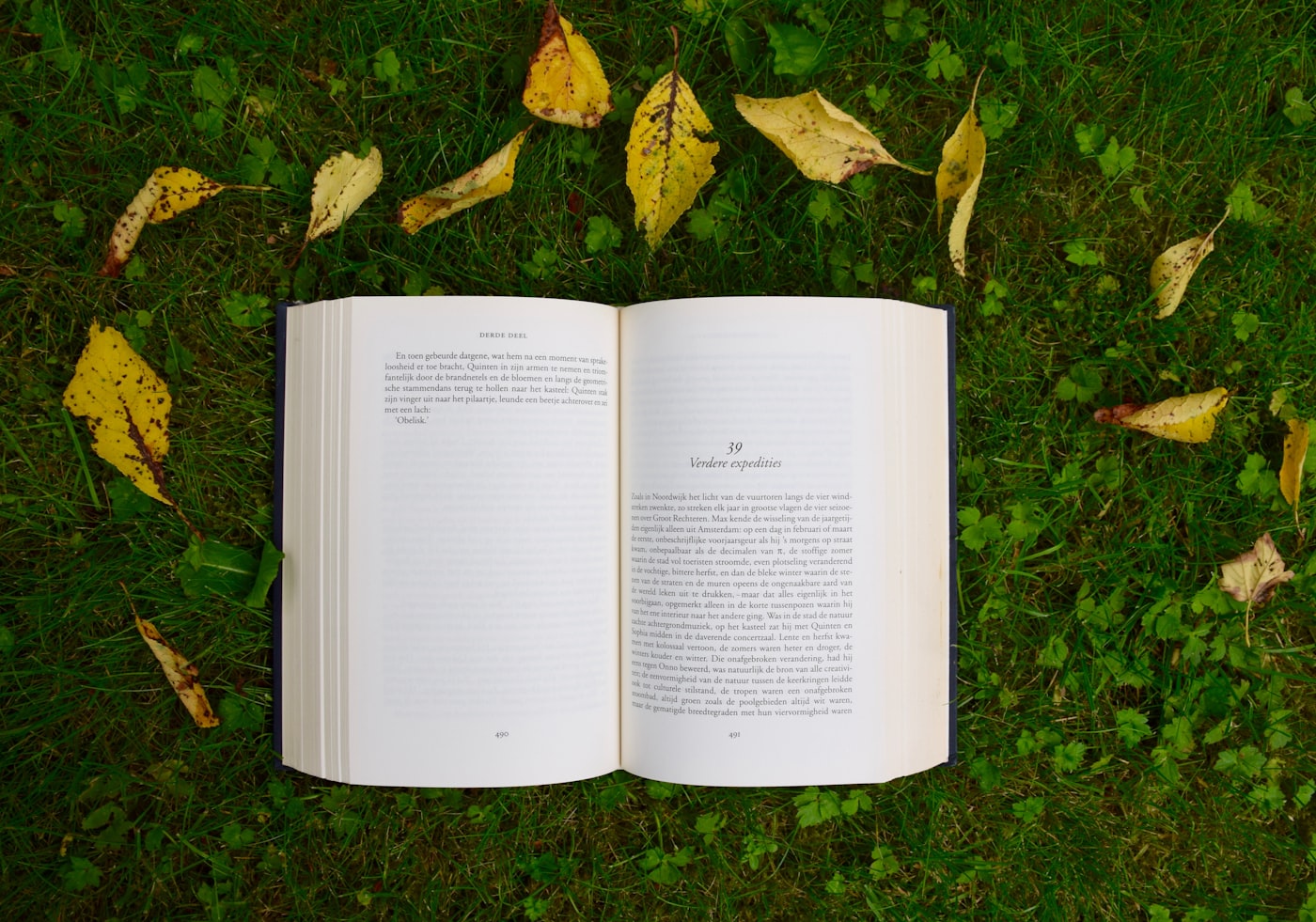 literature review book report - Delight Data Exploration